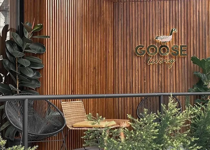 Hotel Goose Living Bts Phra Khanong Bangkok